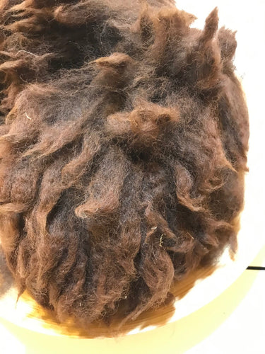 Raw Alpaca Fiber, Alpaca Fleece, Felting Supplies, Unprocessed Huacaya, Brown Alpaca for Wet Felting-The Garden of Felt by Marina